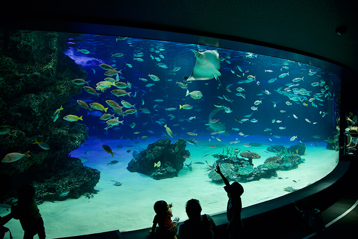 サンシャイン水族館